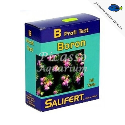 Borium B Test