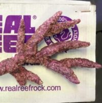 Real reef rock fancy branch