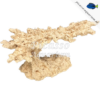 Arka Rifkeramiek Flying Reef