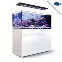 Red Sea Reefer Reefer Peninsula P650 Deluxe