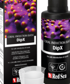 Red Sea DipX