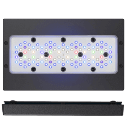 Ecotech Radion XR30