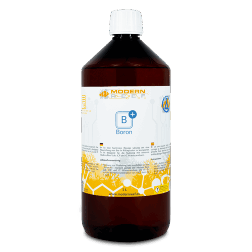 Modern Reef B (Boor)