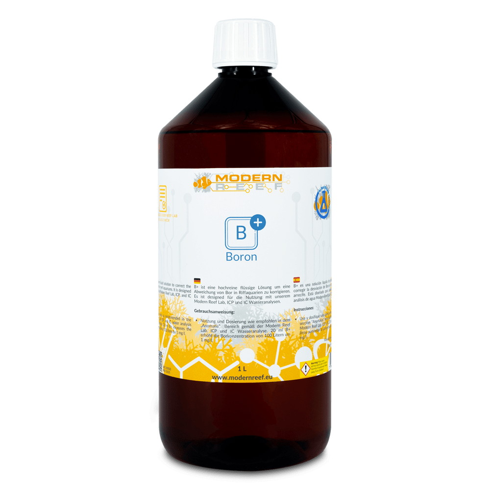 Modern Reef B (Boor)