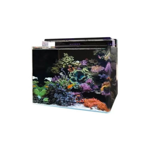 Blue Marine Reef 120