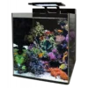 Blue Marine Reef 90
