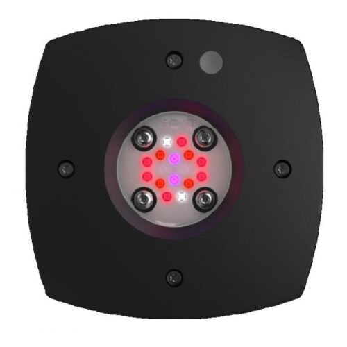 AI Prime Fuge