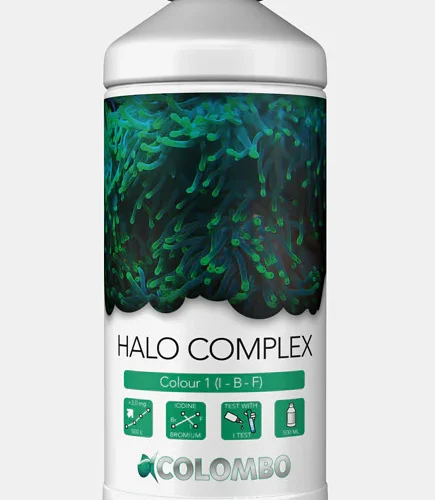 Colombo Marine Halo Complex