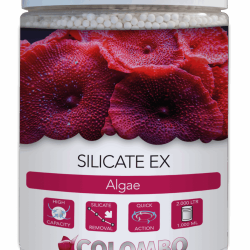 Colombo Silicate ex