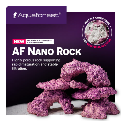 AquaForest Nano Rock 3,5kg 