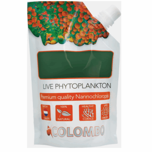 Colombo Live Phytoplankton – Nannochloropsis