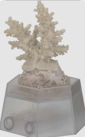 Aqua Medic Coral Holder