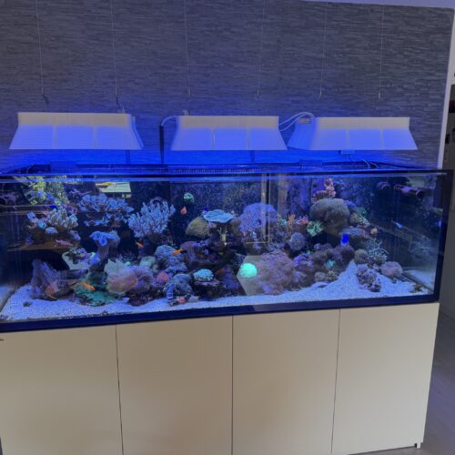 Philips Coral Care Gen 2 Shade Hood - Afbeelding 4